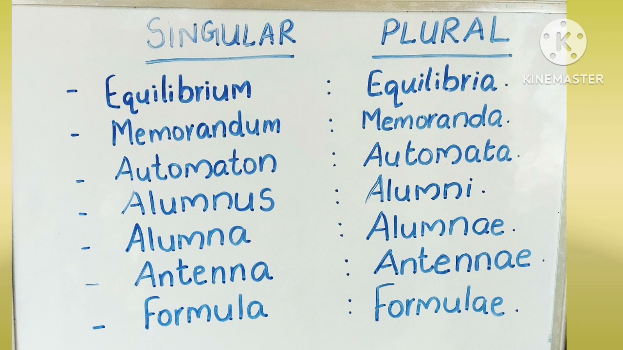 #ENGLISH SINGULAR PLURAL #JOYS GORGEOUS PSC REVISION CLASS