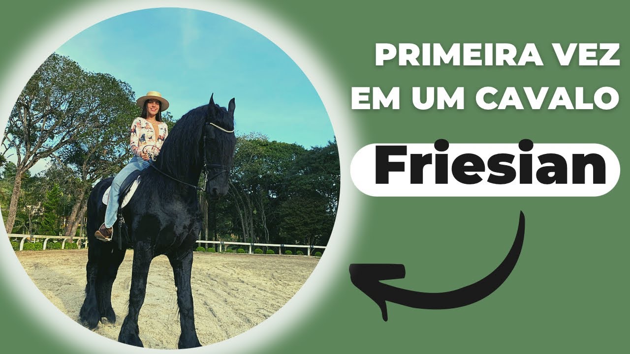 Minha Primeira vez no Cavalo Friesian🐴  #cavalos #cavalo #cavalosfriesian #friesian #agro