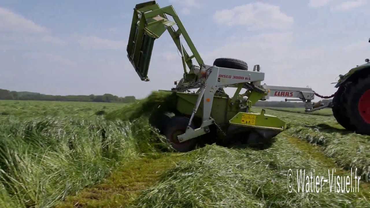 Coupe de Ray grass d'Italie avec une faucheuse conditionneuse Claas Disco 3100 FC