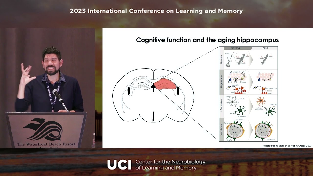 Saul Villeda, PhD - Systemic mechanisms of cognitive rejuvenation