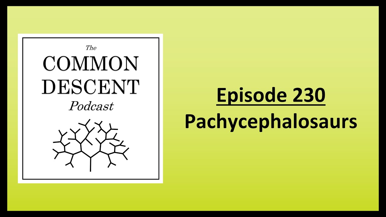 Episode 230 - Pachycephalosaurs