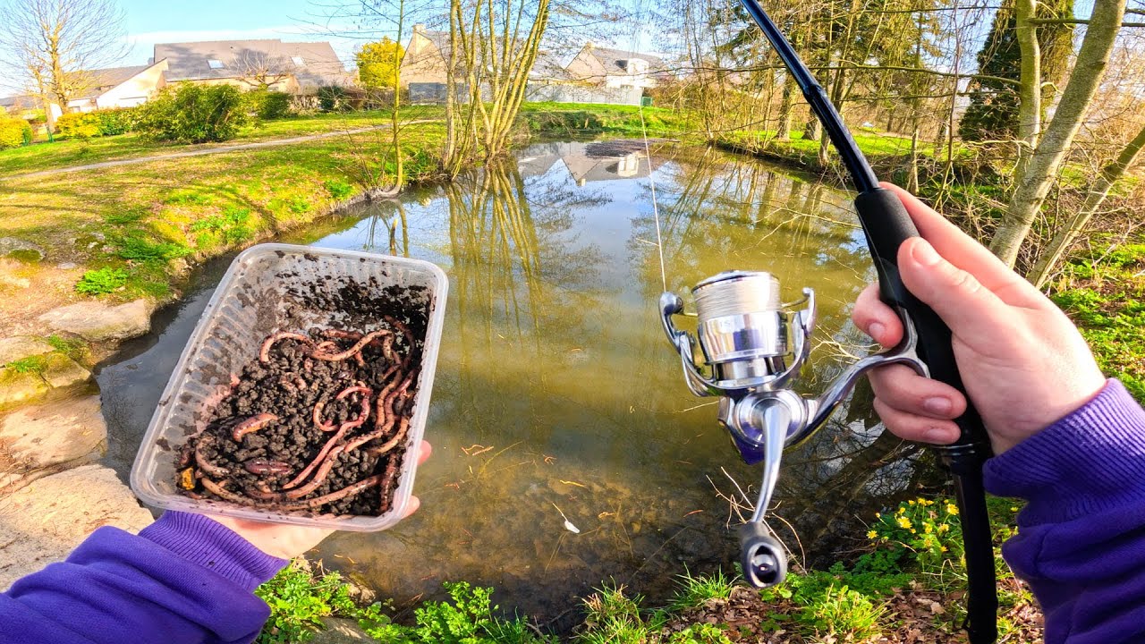 P&ecirc;cher pendant la fermeture c'est possible ? Je p&ecirc;che un &eacute;tang communal rempli de poissons !!