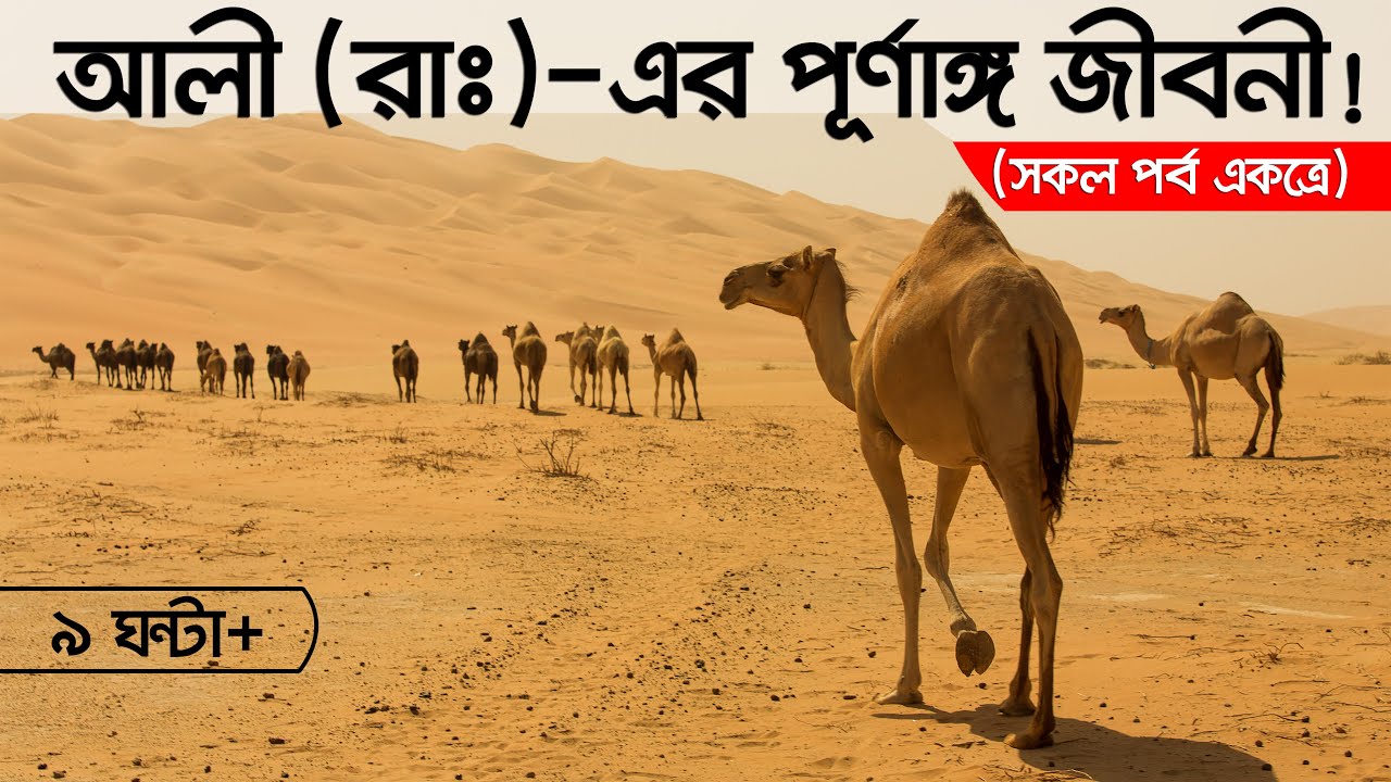 হযরত আলী (রাঃ)-এর পূর্ণাঙ্গ জীবনী! (সকল পর্ব একত্রে)।