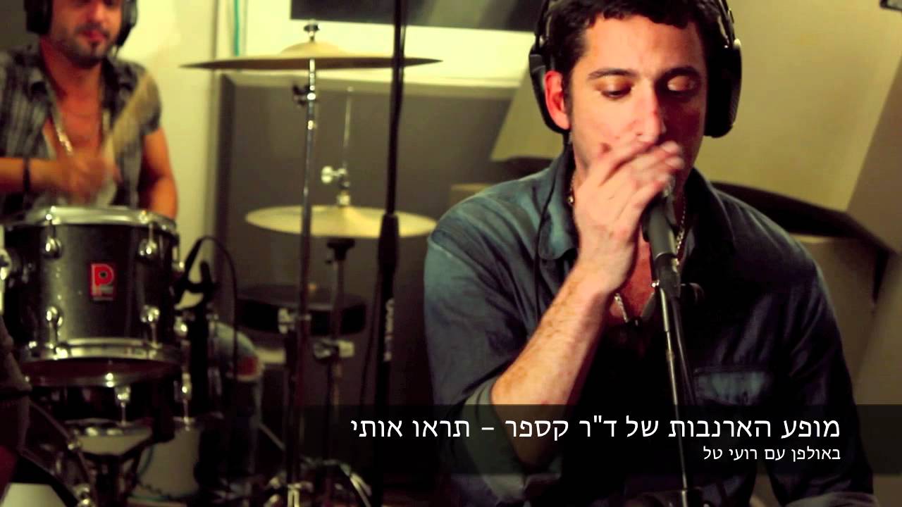מופע הארנבות של ד