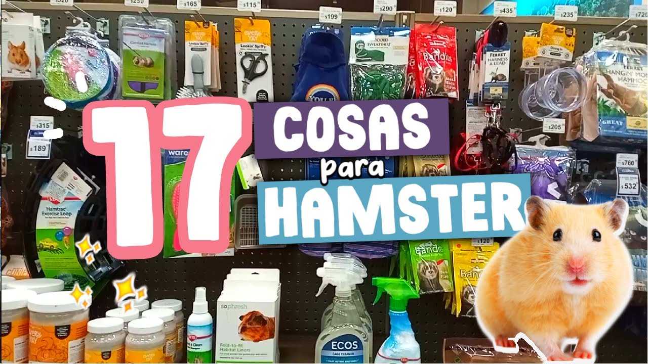 17 COSAS que RECOMIENDO para HAMSTER de la tienda para MASCOTAS PETCO