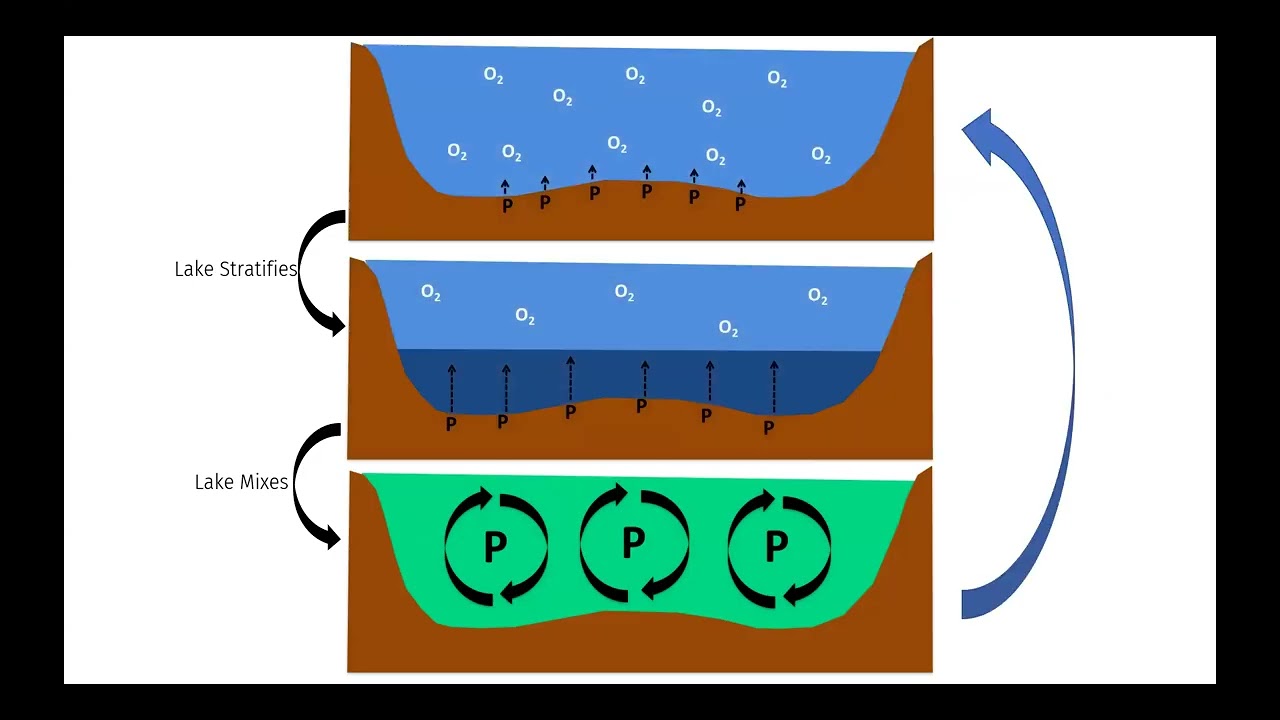 Research into Harmful Algal Blooms in Northeast Minnesota | 2025 Twin Ports Climate Conversations