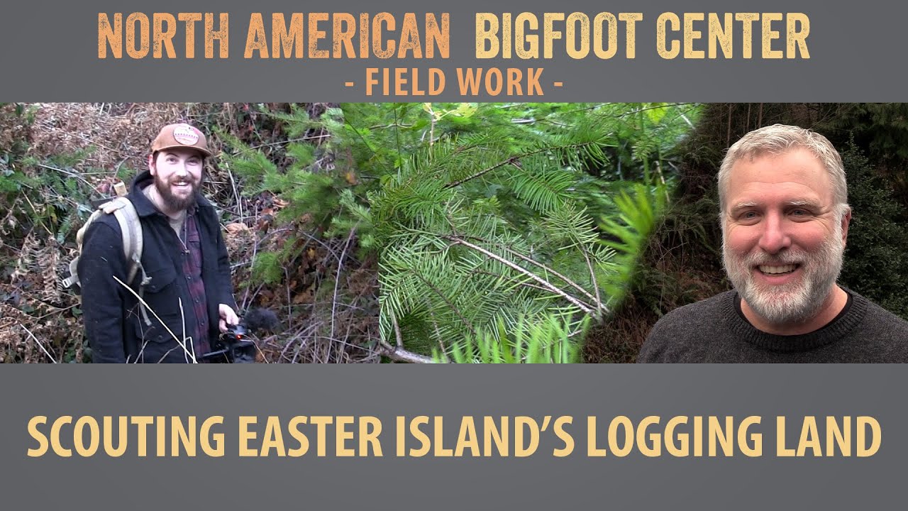 Scouting "Easter Island" Logging Lands - December 2022