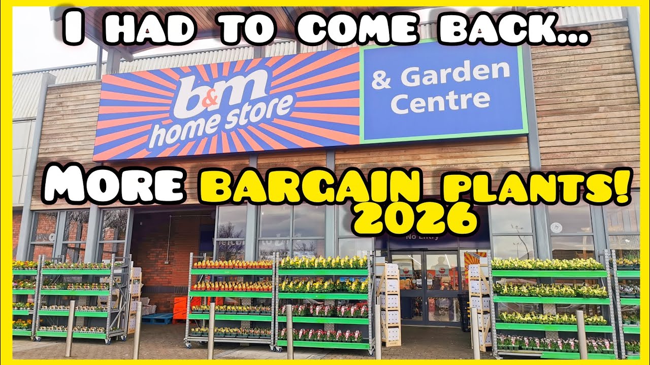 MORE New BARGAIN Plants in B&M Garden Centre and MORRISONS !? 🤔 Jan 2026 | Tropical Gardening UK