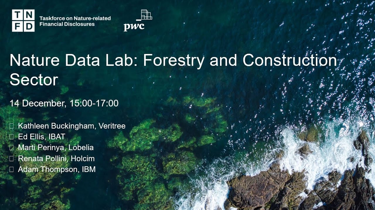 Nature Data Lab: Forestry and Construction Sectors