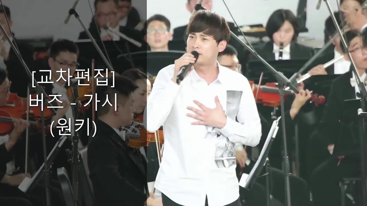 버즈 재결합 후 원키 가시 (교차편집)
