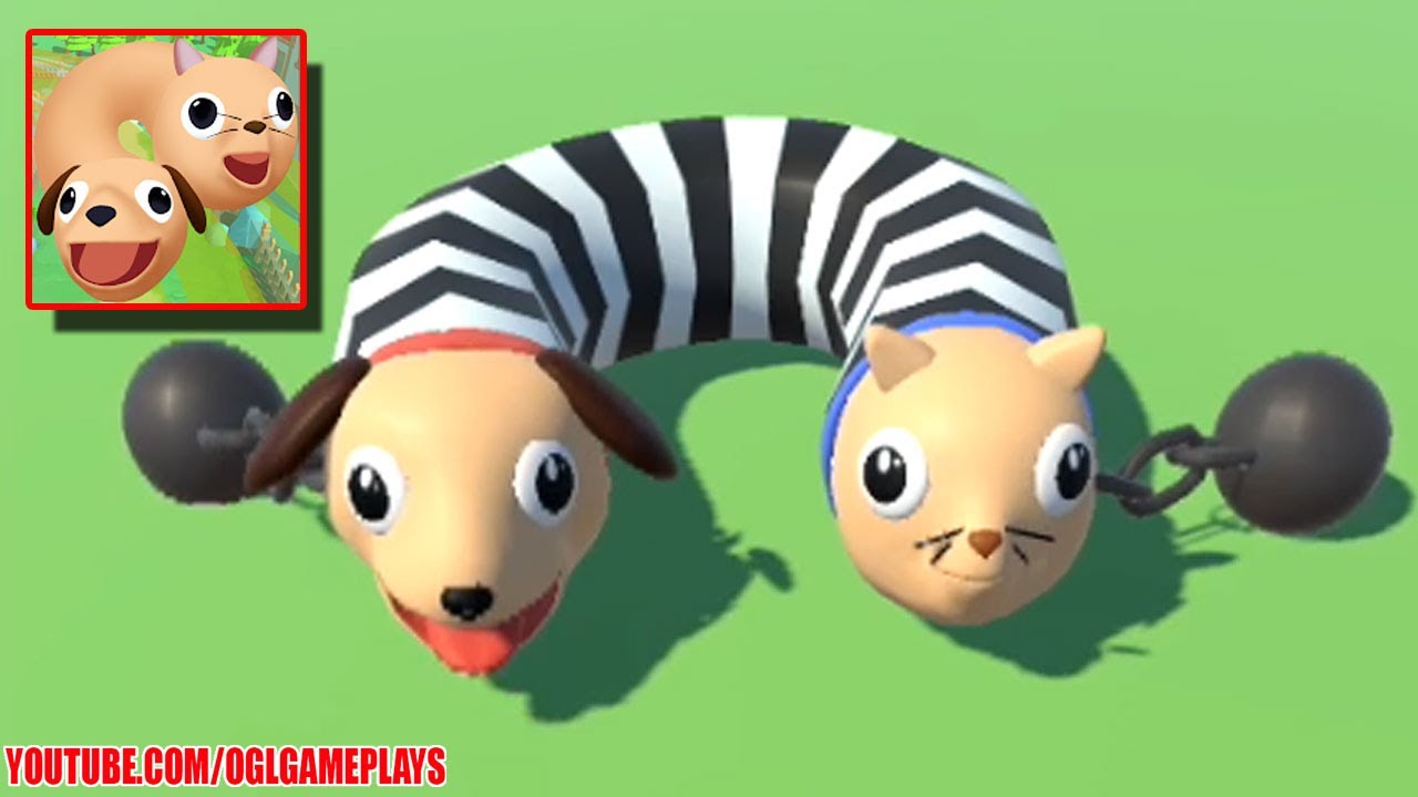 Cats & Dogs 3D - All Levels Gameplay Android,iOS (Level 22-50)