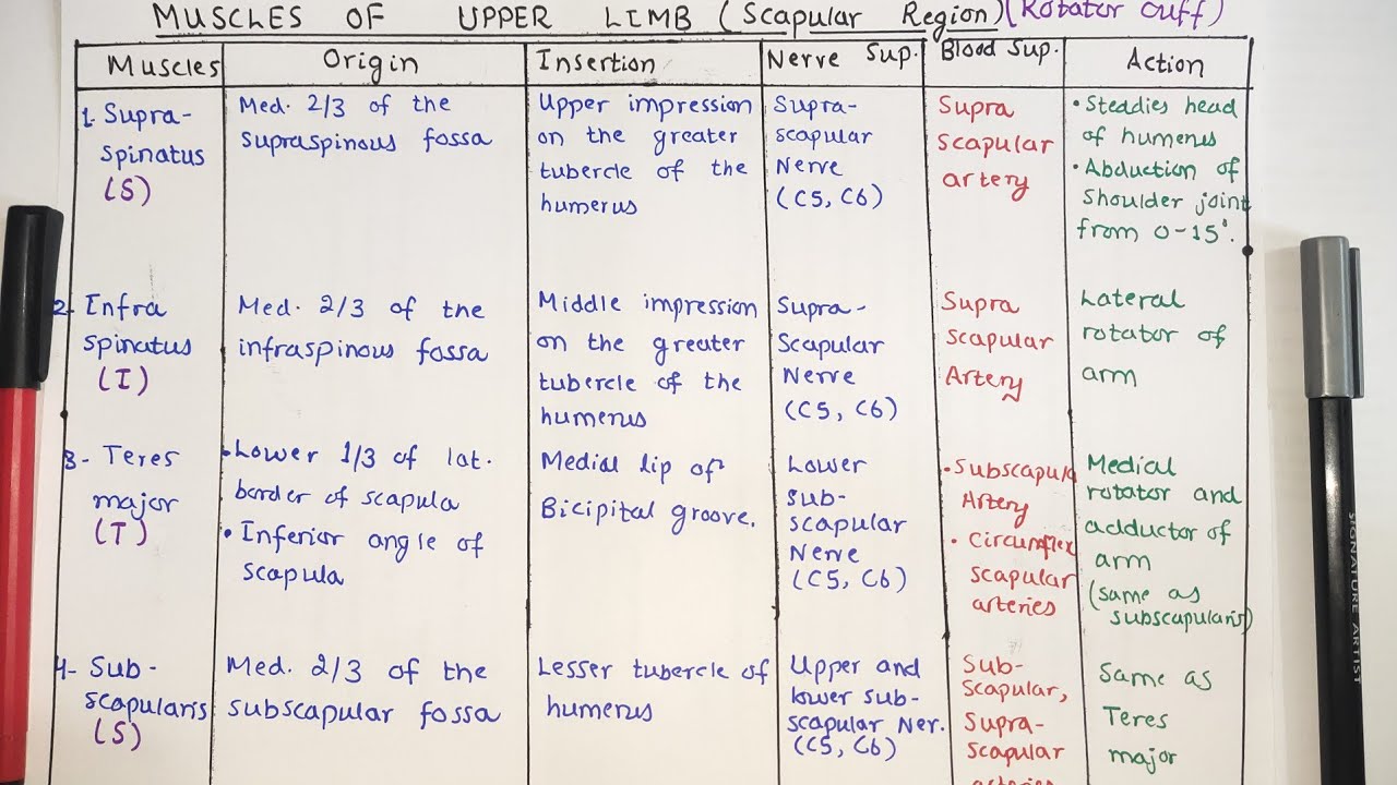 Muscles of Scapular Region | Muscles of Upper Limb Part-2 | Dr. Ali | Doctor Z