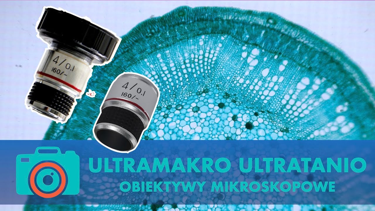 Ultramakro - Ultratanio, czyli jak za małe pieniądze robić zdjęcia makro z dużym powiększeniem