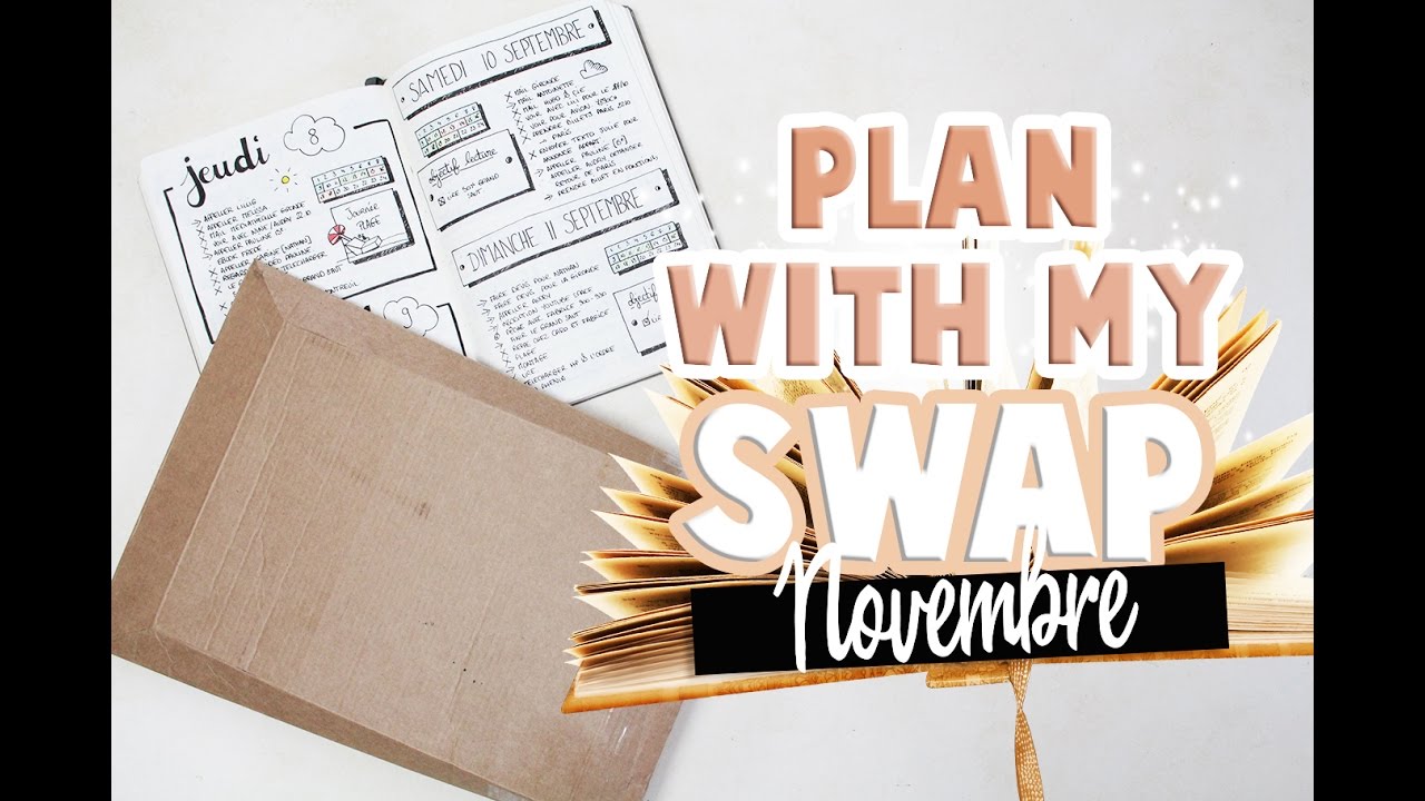 Plan with my SWAP ! ⎮  Bullet Journal  📖✒️