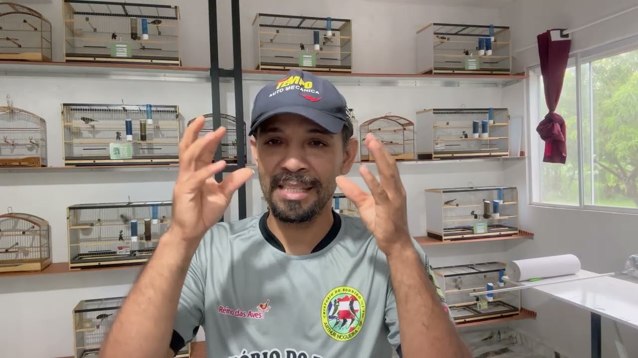 Falando 90% do projeto do, Rodrigo tui tui .