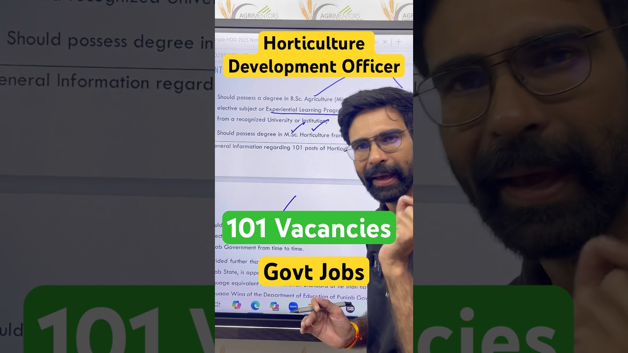 HDO Punjab 2025 Vacancies Notification | Eligibility | Exam Pattern 