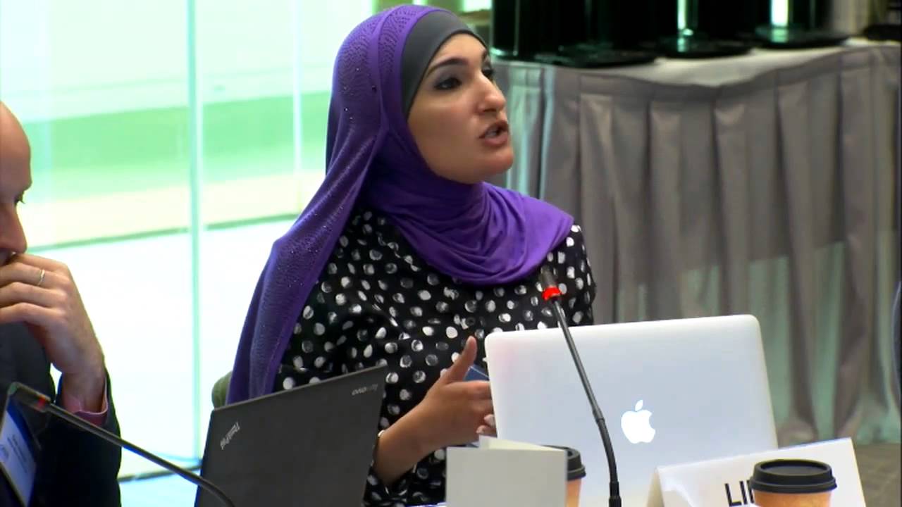 Forum on Ethnic Groups from the Middle East & North Africa (MENA), 5/29/15, Part 2