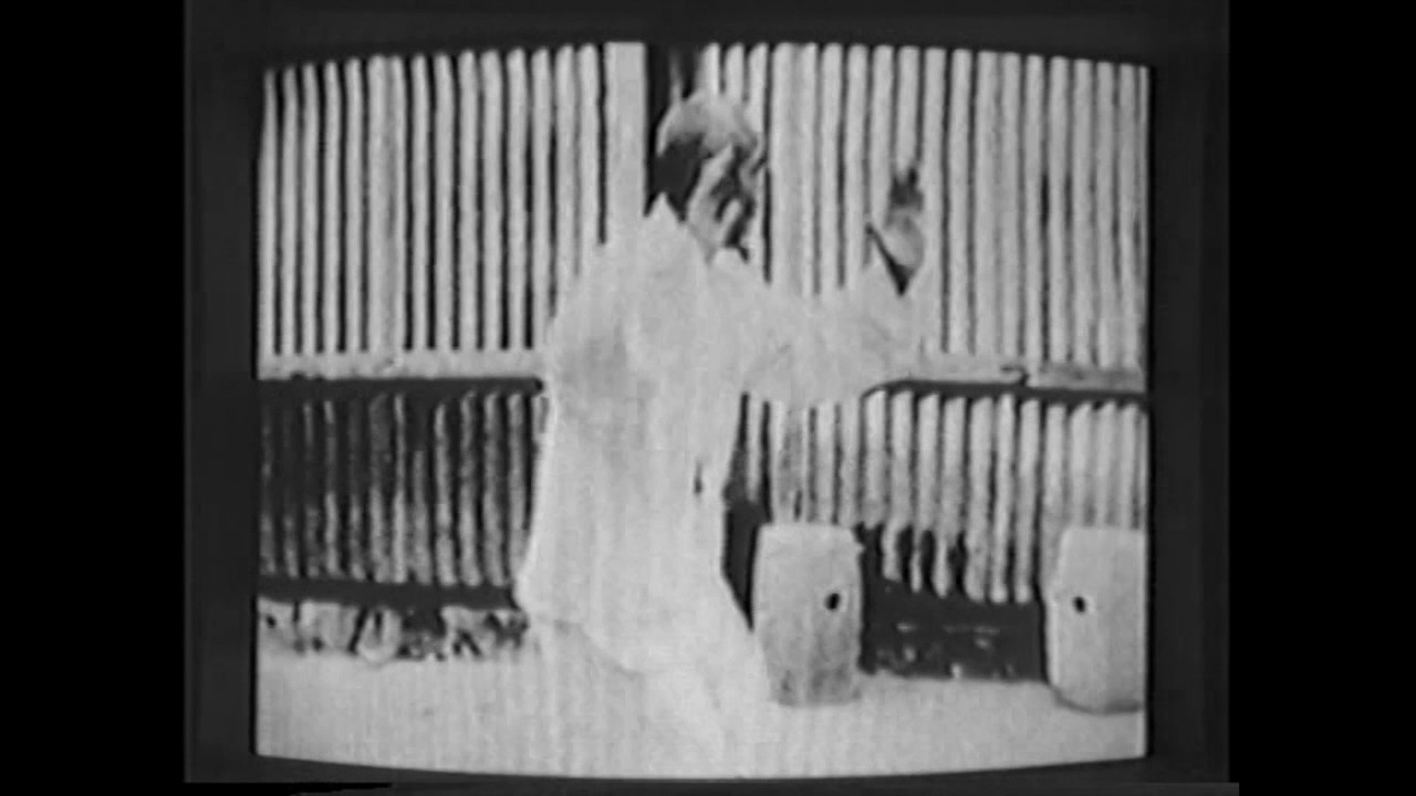 Dong Yingjie,  Dong style Taijiquan 董英杰 董氏太极拳