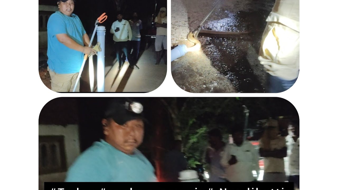 #Todey #snake rescue in# Nandikatta Total rescue 171