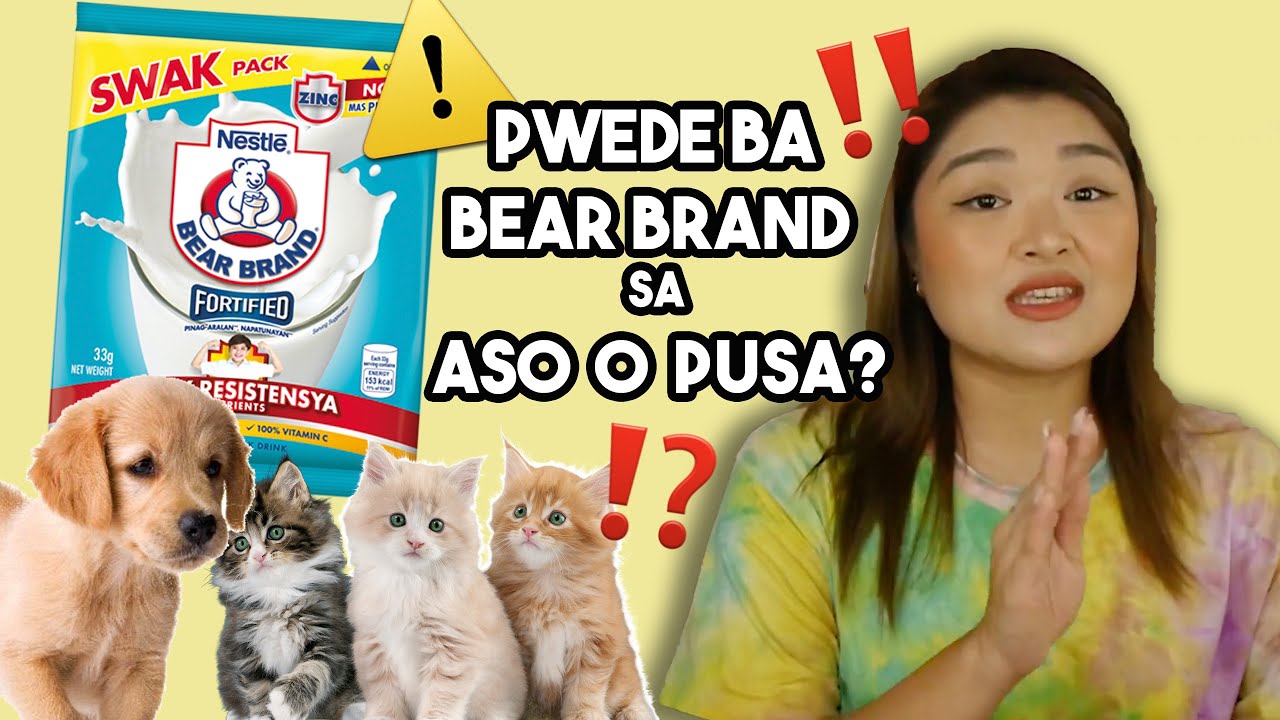 Pwede ba BEAR BRAND sa ASO o PUSA? | Arah Virtucio