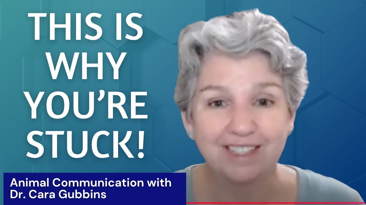 The #1 Mistake That Blocks Aspiring Animal Communicators (and How to Fix It)