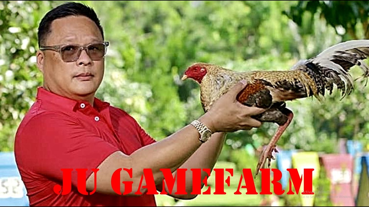 Давайте посетим ферму JU Gamefarm