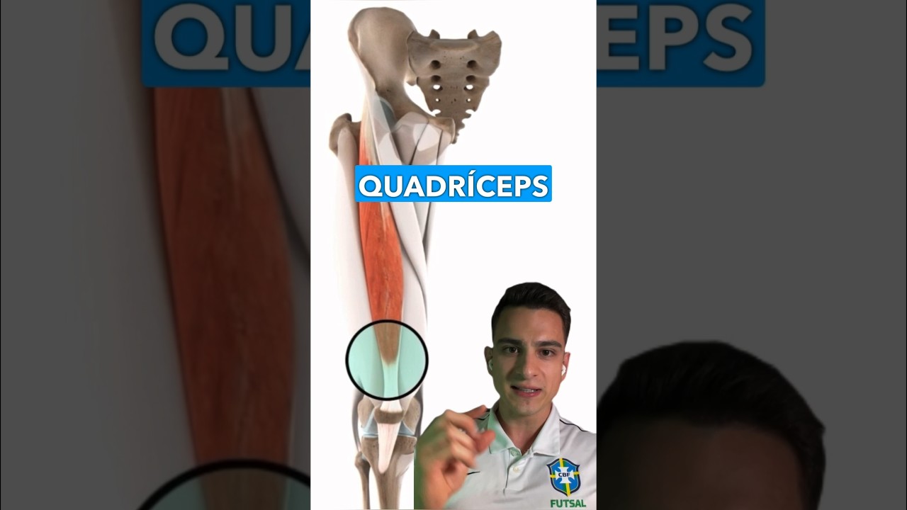 “Músculo do chute” e lesões #anatomia #shorts #danielbohn #hulkparaiba #hulk