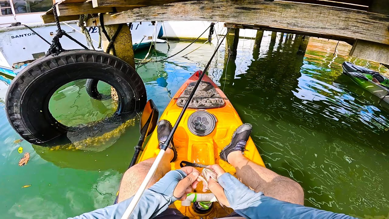 DE VOLTA AO CAIAQUE, PESCARIA PRA TIRAR A POEIRA! PESCA DE CAIAQUE no CANAL DO PORTO DE SANTOS!