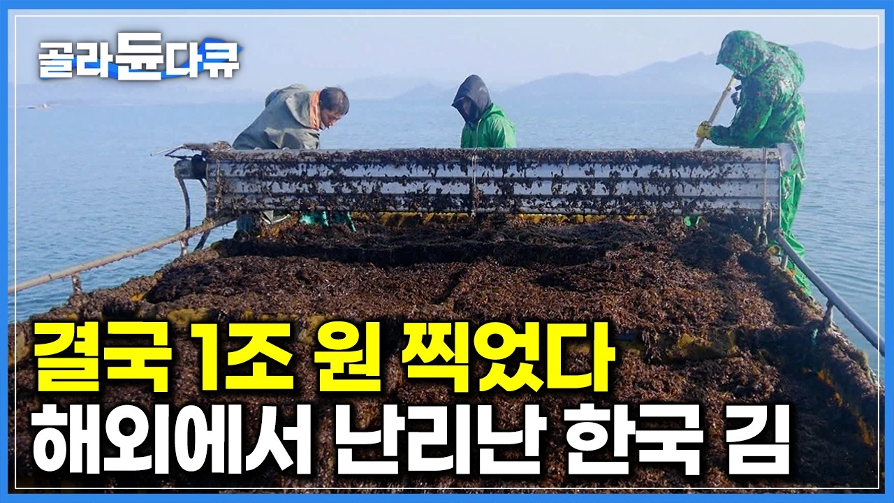 국민 밥도둑이 세계 수출 1위 찍었다! 해외 인기에 몸값 치솟았다는 한국 수산식품｜1년 수출액 1조 원 달성. ’바다의 잡초’에서 ‘검은 반도체’ 된 한국 김｜극한직업｜#골라듄다큐