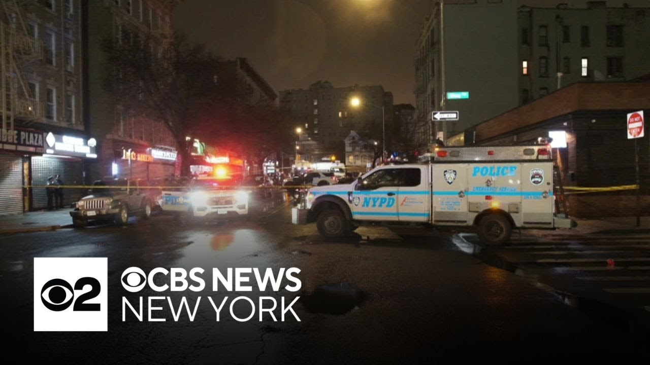30-year-old man shot in the head in the Bronx