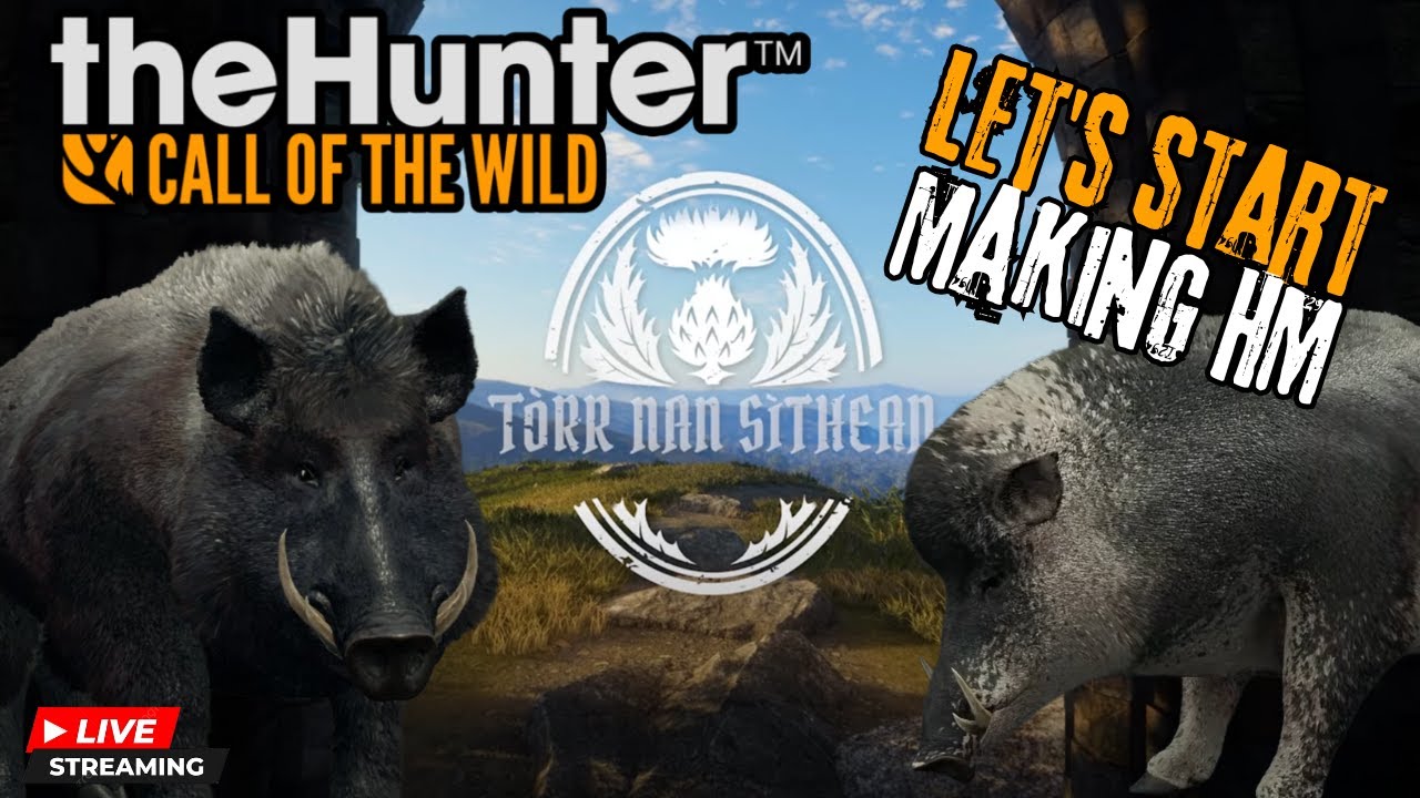 Let's Making Wild Boar HM For Scotland!!