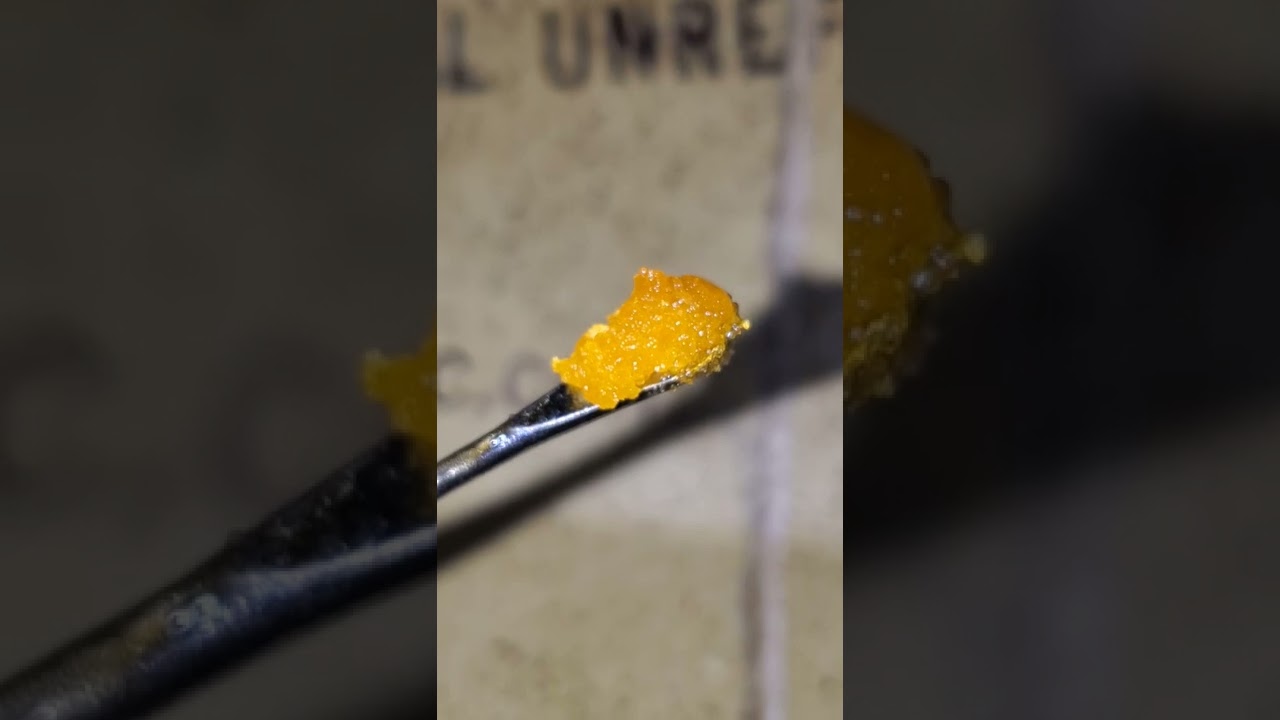 Beautiful Banana Breath 🍌 💨