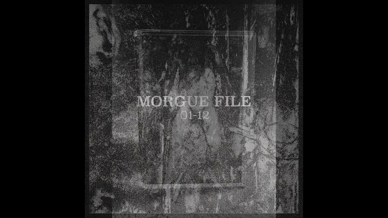 Morgue File - Files 01-12 Compilation [Death Industrial, Dark Ambient]