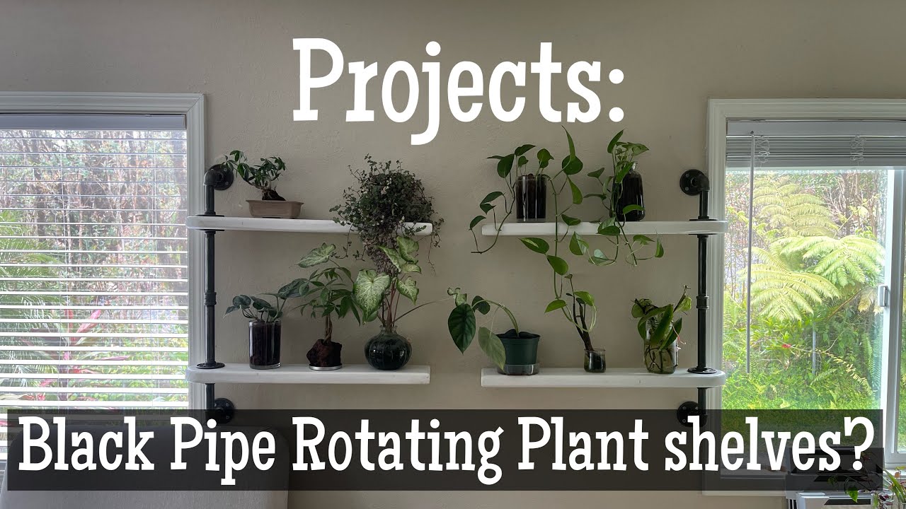 #project #blackpipe #plants Black Pipe Rotating Plant Shelf