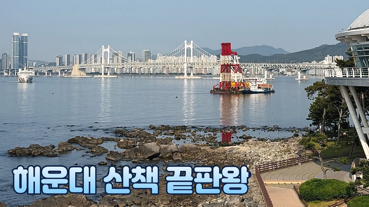 부산 해운대 산책로 끝판왕 l 동백섬, 송림공원수국, 황토길까지 한눈에 l 맛집 추천