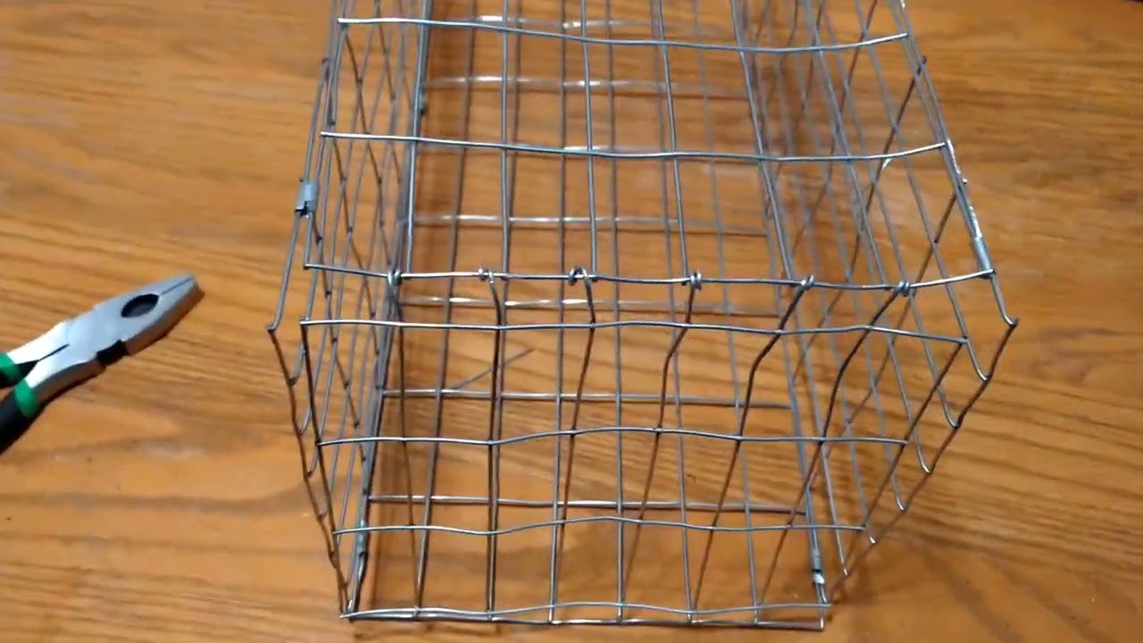 DIY MUSKRAT COLONY TRAP