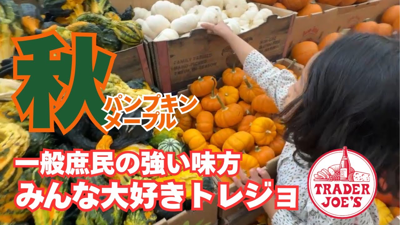 パンプキンだらけ🎃一般庶民お味方Trader Joe’sで秋の買い物🍁 KikiとNYCの日常Vlog