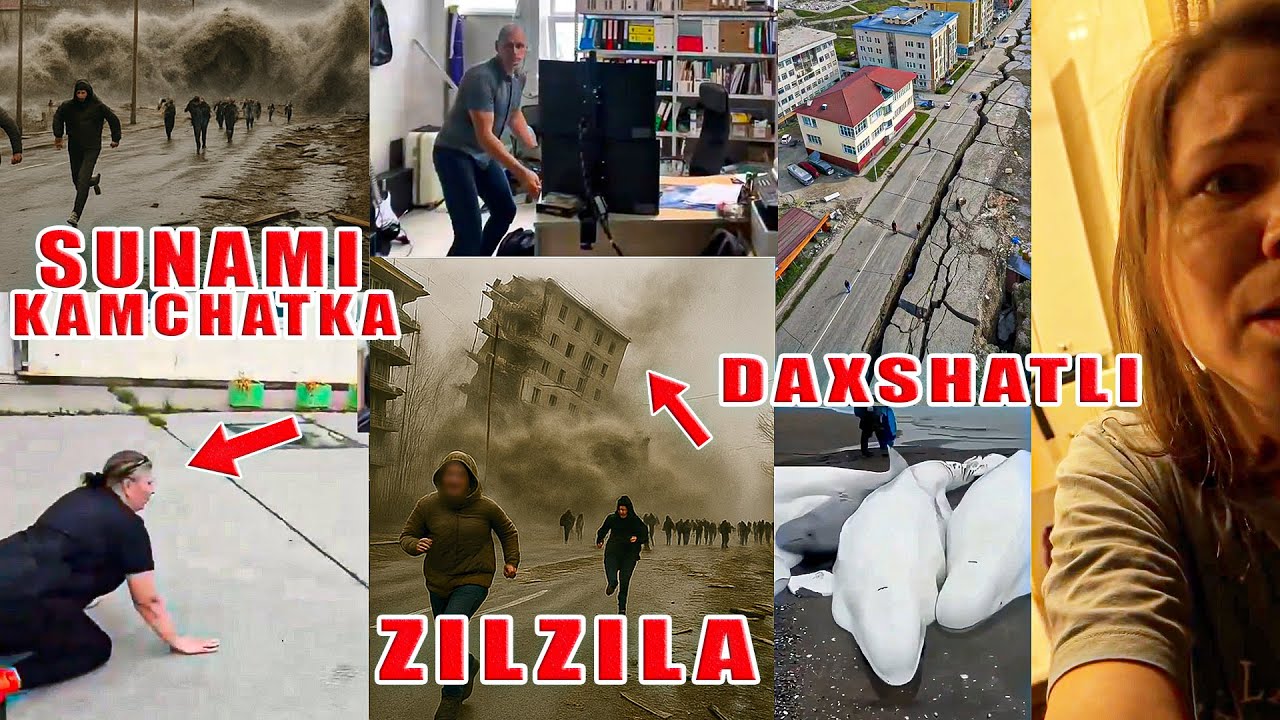 News Kamchatka Daxshatli ZILZILA va SUNAMI barcha videolar Землетрясение Камчатке. Цунами #2025