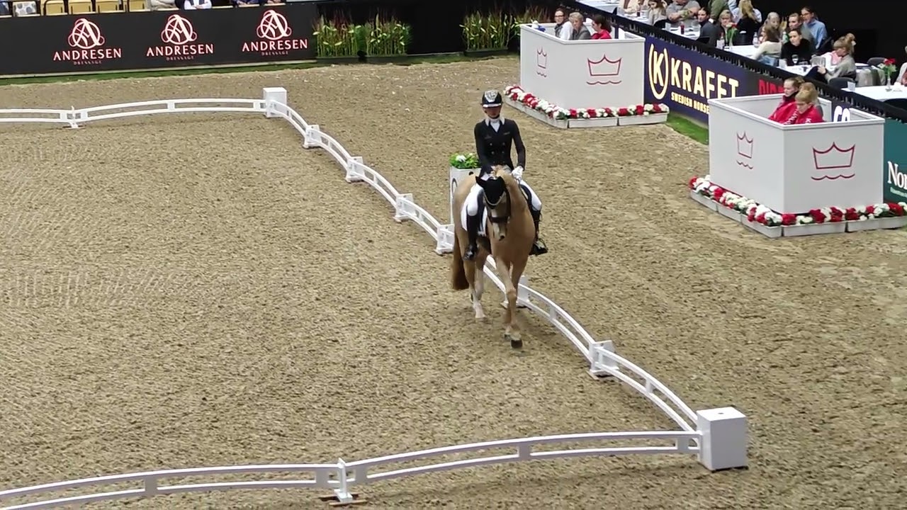 Annabella Pidgley and Gio/Pumpkin March 2026. CDI3* GP.
