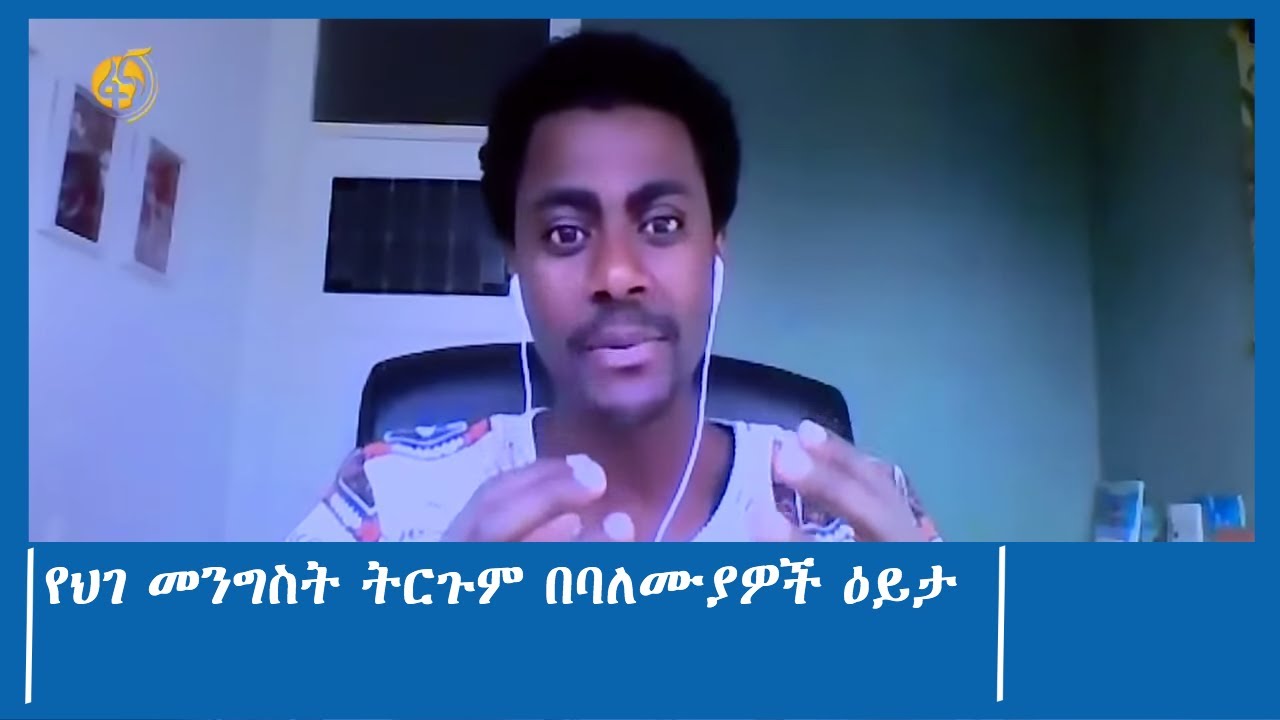 የህገ መንግስት ትርጉም በባለሙያዎች ዕይታ