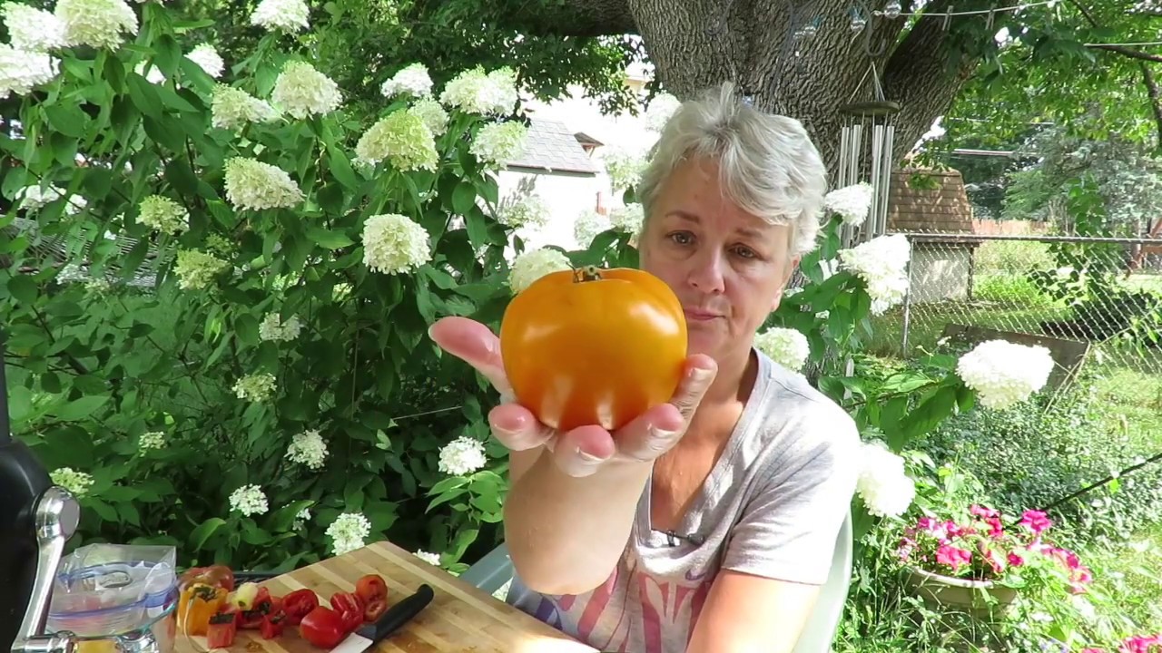 Tomato Taste Test | Summer 2018