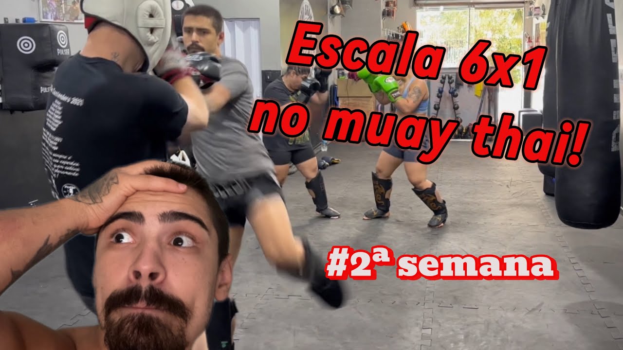 + volume de TREINO e MODO NERDOLA de batalha ATIVADO! (#2 ROTINA SEMANAL BRUTA)