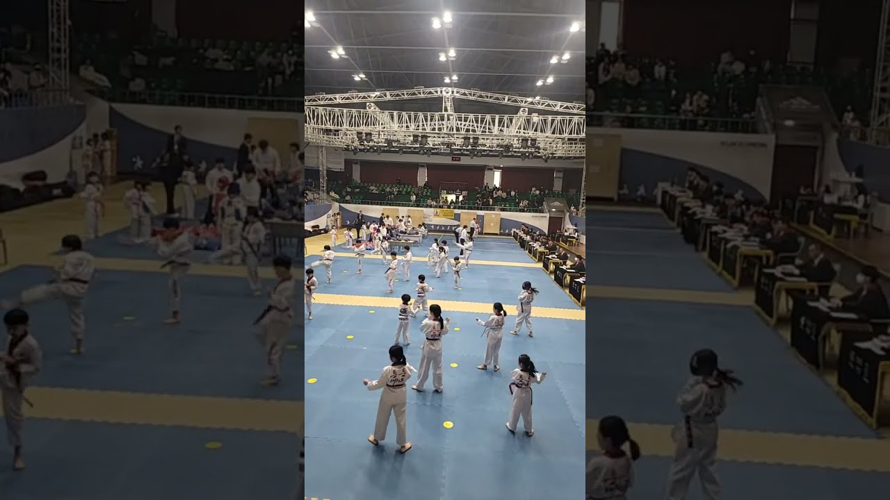 전하나튜브  2품승급심사 국기원 라이브영상