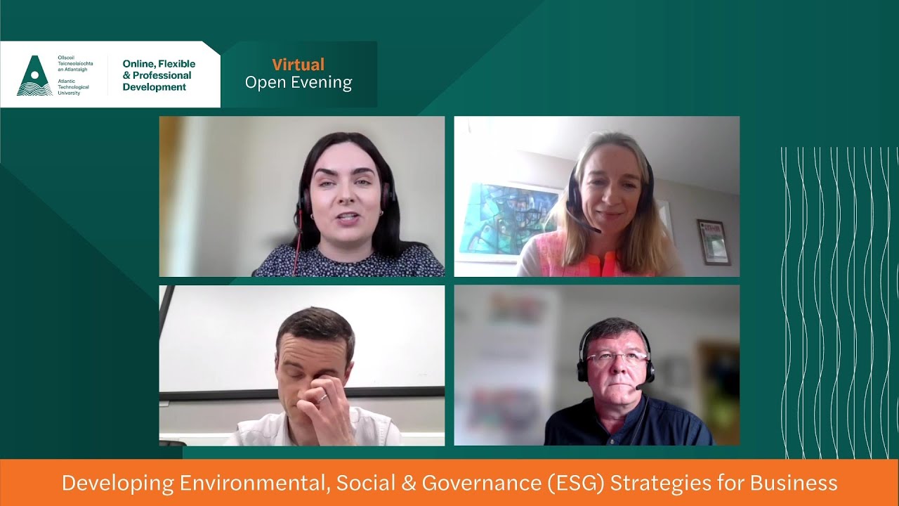 Developing Environmental, Social and Governance ESG Strategies for Business