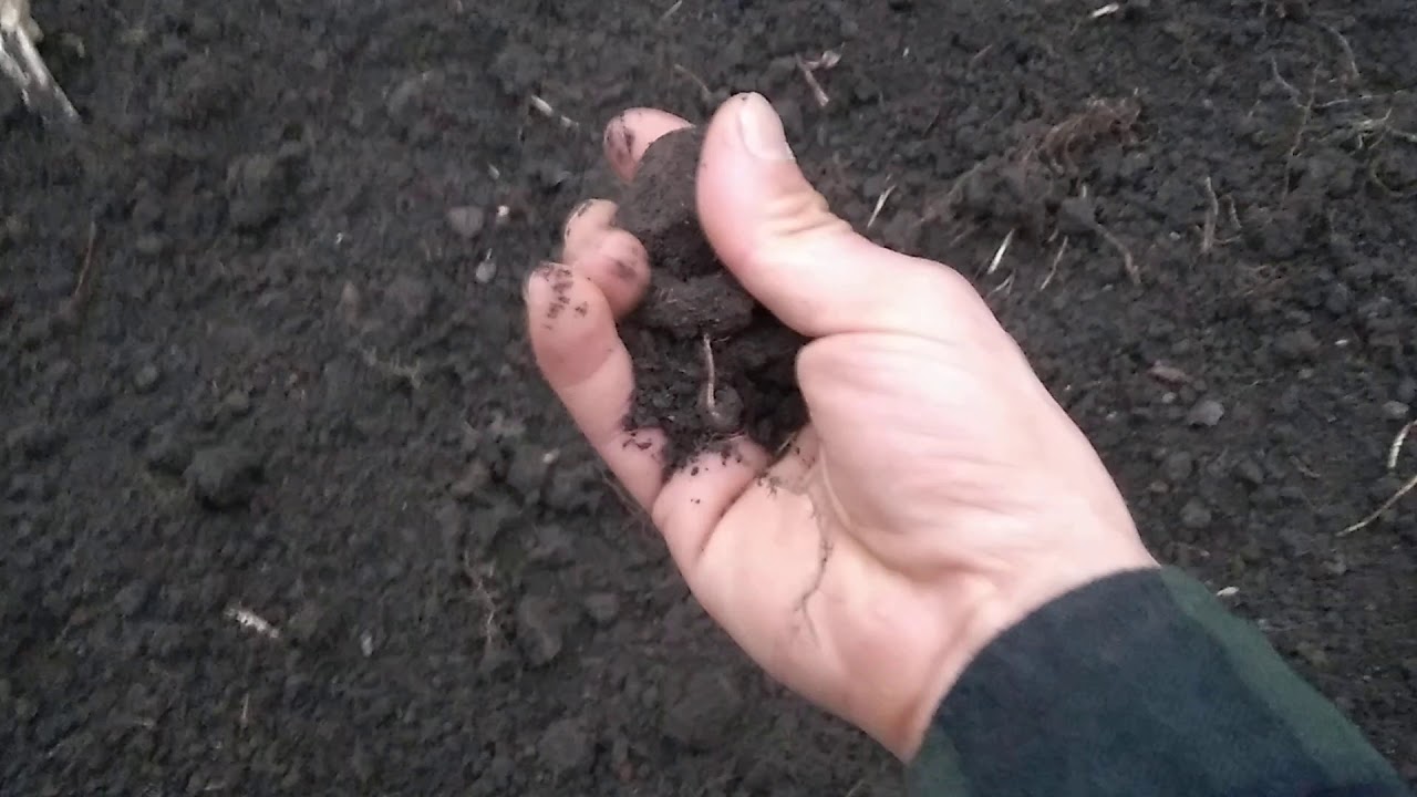 OUTDOOR - dalsze prace ziemne i poczatki wykonania zabezpieczenia.