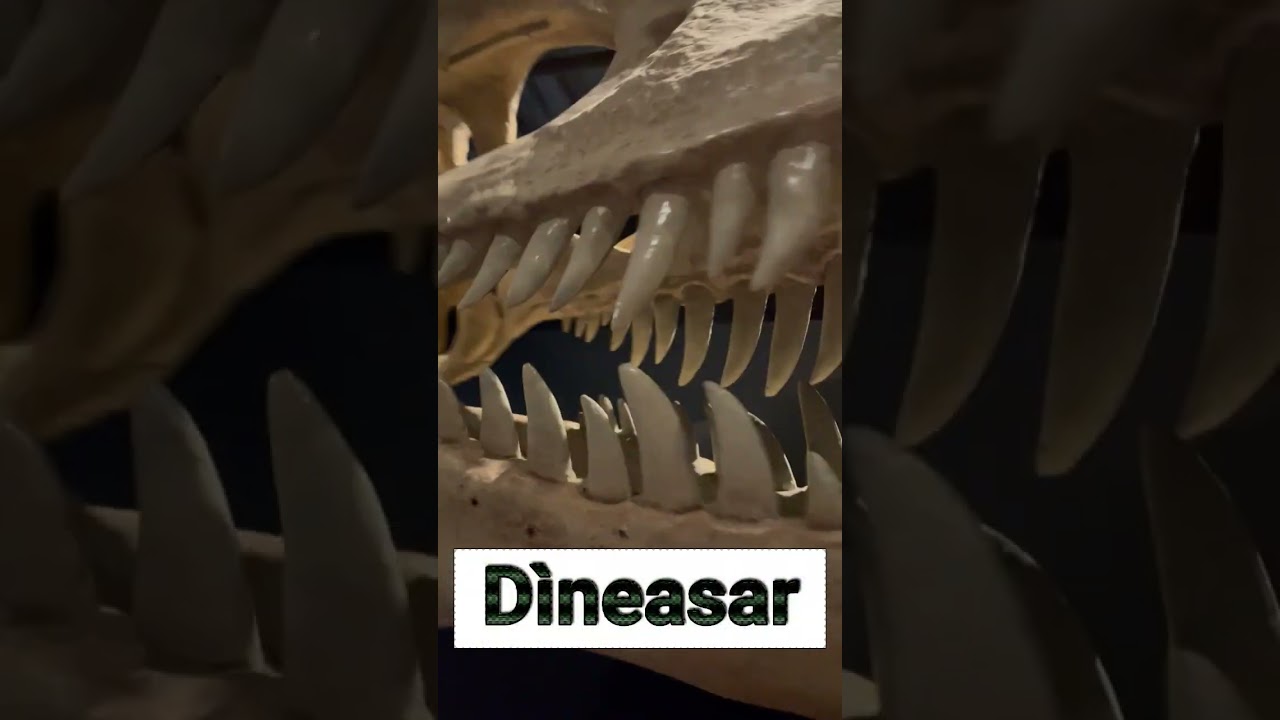 Dinosaur is D&igrave;neasar in Gaelic.