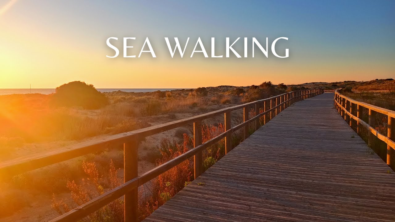 PASEO POR LA PLAYA [4K] COSTA BLANCA MAR MEDITERRANEO