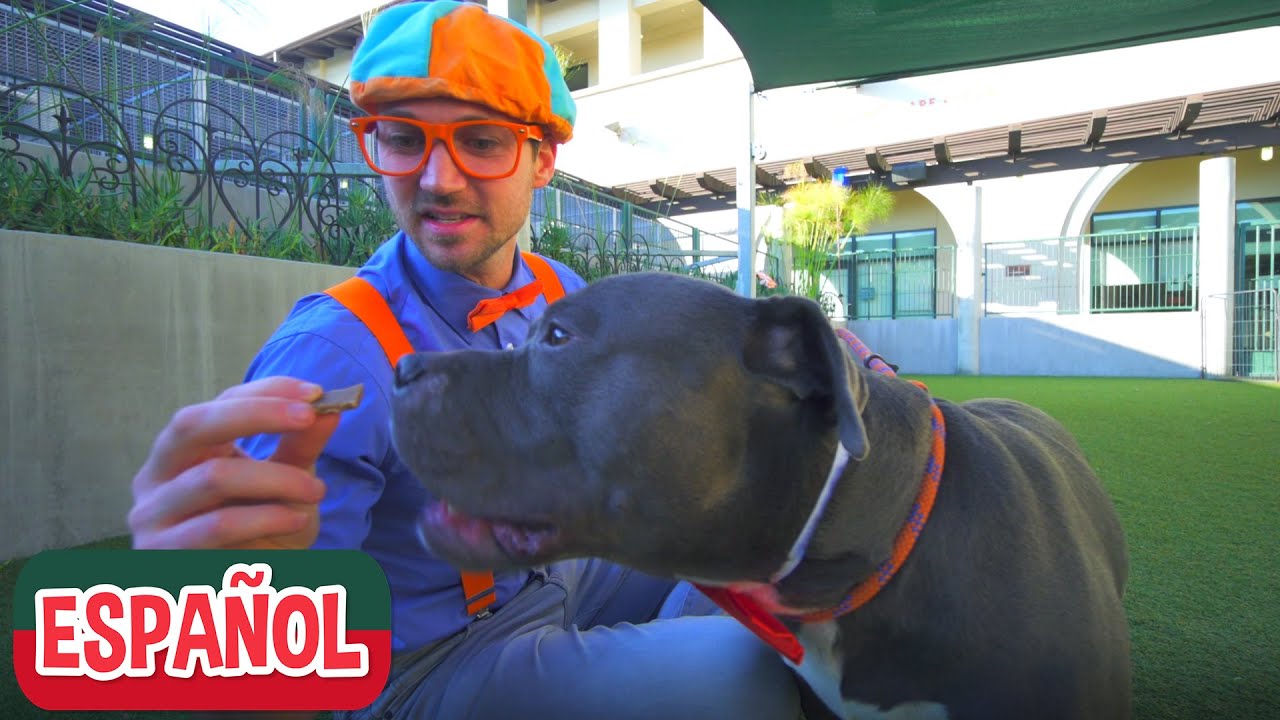 Blippi visita un Refugio de Animales | Aprende con Blippi