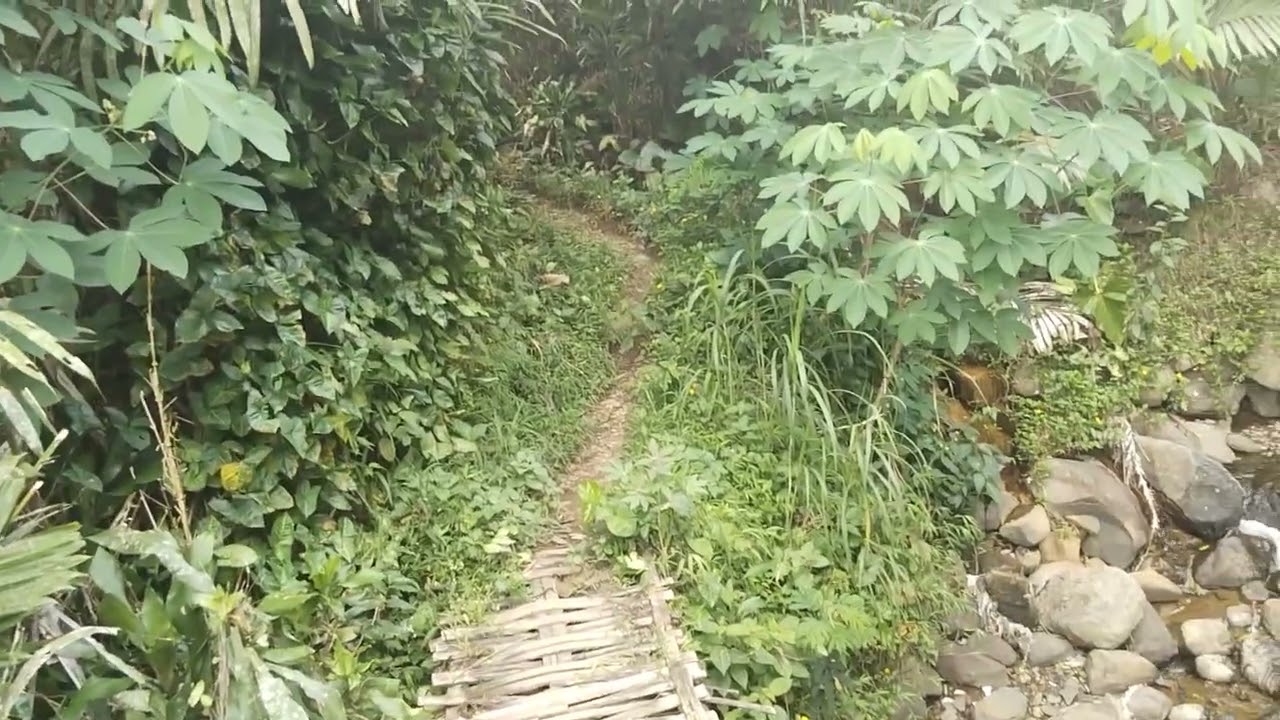 Menuju Lembah peganten. Jateng. 