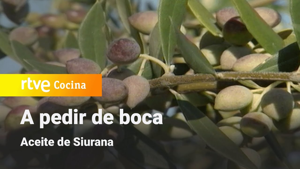 A pedir de boca: Aceite de Siurana | RTVE Cocina